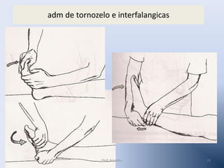 adm de tornozelo e interfalangicas

Prof. Amadeu

26

 