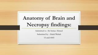 Anatomy of Brain and
Necropsy findings:
Submitted to : Sir Imtiaz Ahmed
Submitted by : Abdul Wahab
15-arid-4445
 