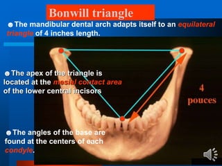 Bonwill 15 arrangements of teeth + curves of occ.audio | PPSX
