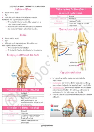 ANATOMÍA NORMAL – APARATO LOCOMOTOR 15 5
@propositomed
Cúbito o Ulna
• Es un hueso largo.
• Par.
• Ubicado en la parte interna del antebrazo.
Contiene dos superficies articulares:
→ Articulación Humerocubital (se ubican en la
cara anterior del cubito).
→ Articulación Radiocubital superior o proximal
(se ubican en la cara lateral del cubito).
Radio
• Es un hueso largo.
• Par.
• Ubicado en la parte externa del antebrazo.
Dos superficies articulares:
→ Articulación Humerorradial
→ Articulación Radiocubital superior o proximal
Complejo articular del codo
Articulación Húmerorradial
Tipo Sinovial
Estructura articular Diartrosis
Género Esferoidea/Enartrosis
Movimiento Va a participar en los
movimientos de las otras dos
articulaciones.
Articulación Húmerocubital
Tipo Sinovial
Estructura articular Diartrosis
Género Gínglimo/Trocleartrosis/
Bisagra/Troclear
Movimiento Flexión y extensión del
antebrazo.
Articulación Radiocubital
superior o proximal
Tipo Sinovial
Estructura articular Diartrosis
Género Trocoide/Pivote
Movimiento Pronación y supinación del
ante brazo.
Movimiento del codo
Capsula articular
• La cápsula articular rodea por completo la
articulación.
• Humerales: por encima de las fosas coronoidea y
olecraniana, bajando hacia epitróclea y epicóndilo.
• Antebraquiales: pasando por debajo de las cabezas
proximales del radio y del cúbito, y cubriendo la
parte superior del olécranon por detrás.
• Para las tres articulaciones existen una sola cavidad
articular.
 