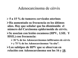 disposición en empalizada de las células en la perifería