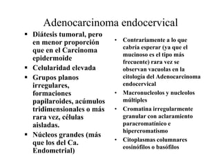 prolongaciones en “dedo de guante”