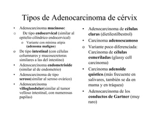 Se asocian con lesión escamosa (HPV,  LSIL  Y HSIL) con frecuencia: