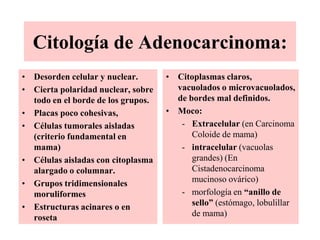 amoldamiento nuclear 