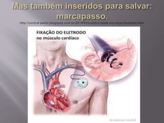 15   circuitos elétricos