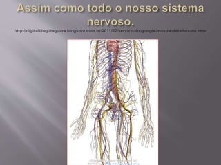 15   circuitos elétricos