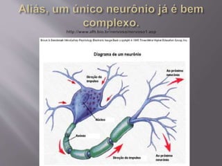 15   circuitos elétricos
