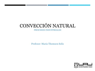 CONVECCIÓN NATURAL
Profesor: Maria Thomsen Solis
1
PROCESOS INDUSTRIALES
 