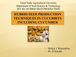 HYBRID SEED PRODUCTION
TECHNIQUES IN CUCURBITS
INCLUDING CUCUMBER
- Hridya V Rejeendran
- Ph. D Scholar
Tamil Nadu Agricultural University
Department of Seed Science & Technology
SST 801 HYBRID SEED PRODUCTION
 