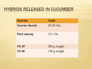 Hybrids Yield
Swarna sheetal 20-30 t/ha
Pusa sanyog 15 t / ha
NS 45 200 g weight.
NS 46 150 g weight
 