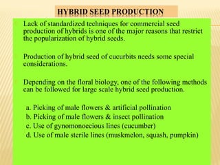  Lack of standardized techniques for commercial seed
production of hybrids is one of the major reasons that restrict
the popularization of hybrid seeds.
 Production of hybrid seed of cucurbits needs some special
considerations.
 Depending on the floral biology, one of the following methods
can be followed for large scale hybrid seed production.
a. Picking of male flowers & artificial pollination
b. Picking of male flowers & insect pollination
c. Use of gynomonoecious lines (cucumber)
d. Use of male sterile lines (muskmelon, squash, pumpkin)
 