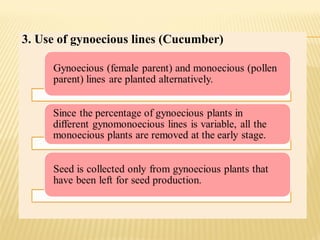 3. Use of gynoecious lines (Cucumber)
 