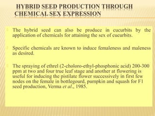  The hybrid seed can also be produce in cucurbits by the
application of chemicals for attaining the sex of cucurbits.
 Specific chemicals are known to induce femaleness and maleness
as desired.
 The spraying of ethrel (2-choloro-ethyl-phosphonic acid) 200-300
ppm at two and four true leaf stage and another at flowering is
useful for inducing the pistilate flower successively in first few
nodes on the female in bottlegourd, pumpkin and squash for F1
seed production, Verma et al., 1985.
 