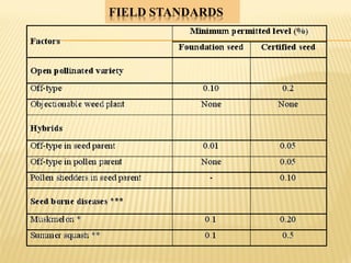 cucurbits seed production