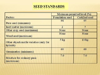 cucurbits seed production