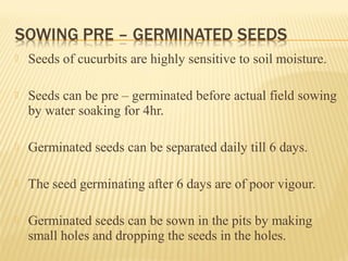  Seeds of cucurbits are highly sensitive to soil moisture.
 Seeds can be pre – germinated before actual field sowing
by water soaking for 4hr.
 Germinated seeds can be separated daily till 6 days.
 The seed germinating after 6 days are of poor vigour.
 Germinated seeds can be sown in the pits by making
small holes and dropping the seeds in the holes.
 