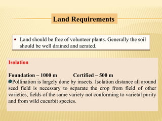 Land should be free of volunteer plants. Generally the soil
should be well drained and aerated.
Land should be free of volunteer plants. Generally the soil
should be well drained and aerated.
Land Requirements
Isolation
Foundation – 1000 m Certified – 500 m
Pollination is largely done by insects. Isolation distance all around
seed field is necessary to separate the crop from field of other
varieties, fields of the same variety not conforming to varietal purity
and from wild cucurbit species.
 