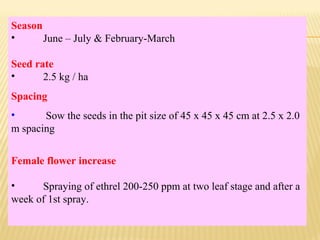 Season
• June – July & February-March
Seed rate
• 2.5 kg / ha
Spacing
• Sow the seeds in the pit size of 45 x 45 x 45 cm at 2.5 x 2.0
m spacing
Female flower increase
• Spraying of ethrel 200-250 ppm at two leaf stage and after a
week of 1st spray.
 
