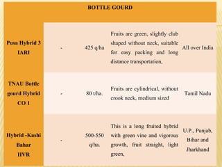 BOTTLE GOURD
Pusa Hybrid 3
IARI
- 425 q/ha
Fruits are green, slightly club
shaped without neck, suitable
for easy packing and long
distance transportation,
All over India
TNAU Bottle
gourd Hybrid
CO 1
- 80 t/ha.
Fruits are cylindrical, without
crook neck, medium sized
Tamil Nadu
Hybrid -Kashi
Bahar
IIVR
-
500-550
q/ha.
This is a long fruited hybrid
with green vine and vigorous
growth, fruit straight, light
green,
U.P., Punjab,
Bihar and
Jharkhand
 