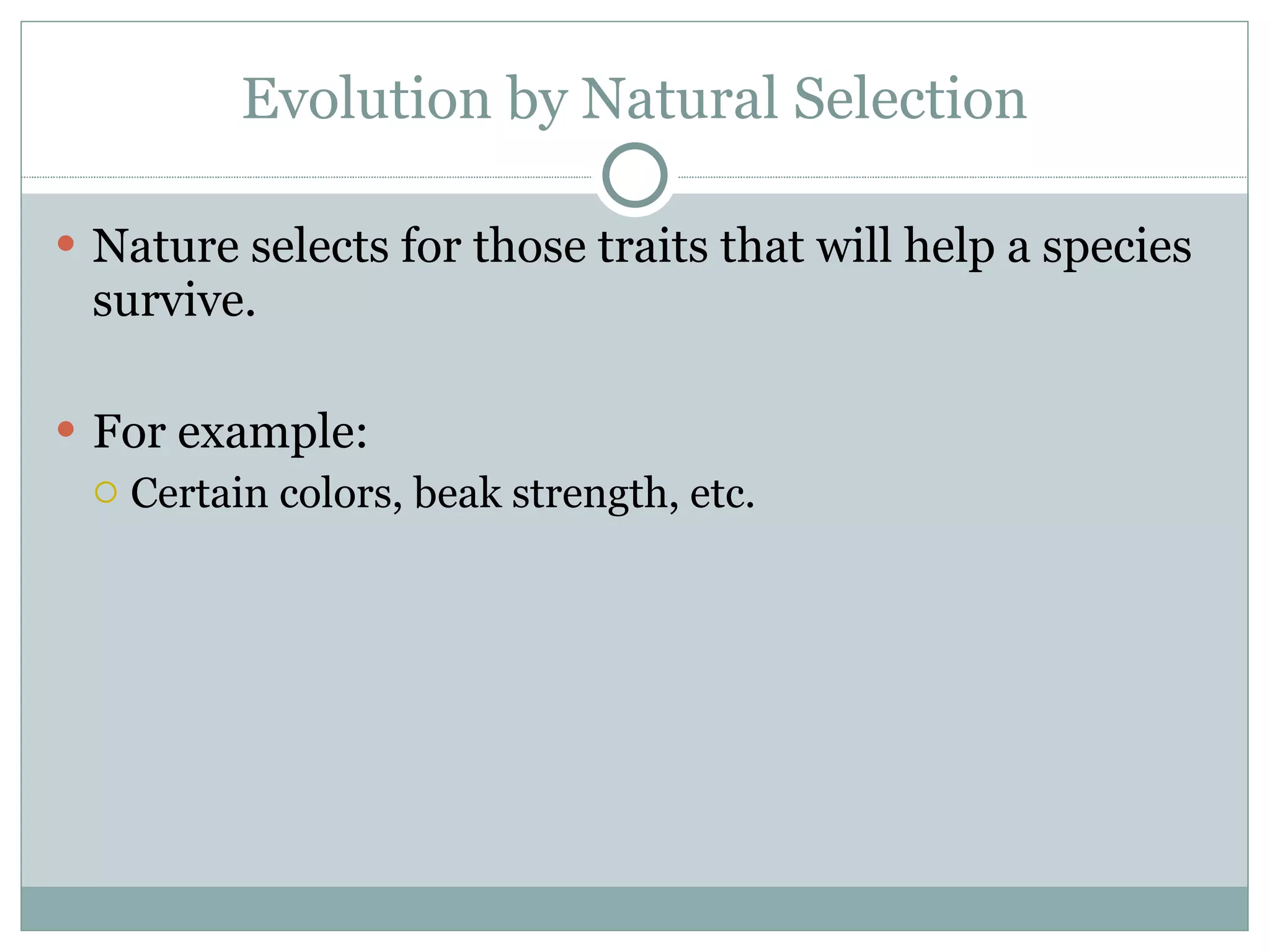 Evolution by Natural Selection Nature selects for those traits that will help a species survive. For example: Certain colors, beak strength, etc.  