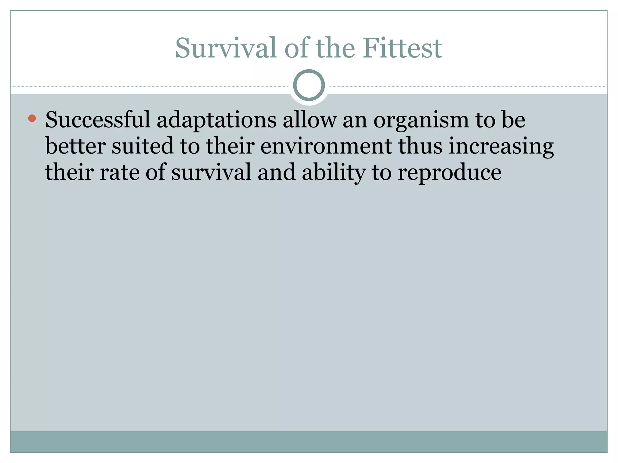 Survival of the Fittest Successful adaptations allow an organism to be better suited to their environment thus increasing their rate of survival and ability to reproduce 