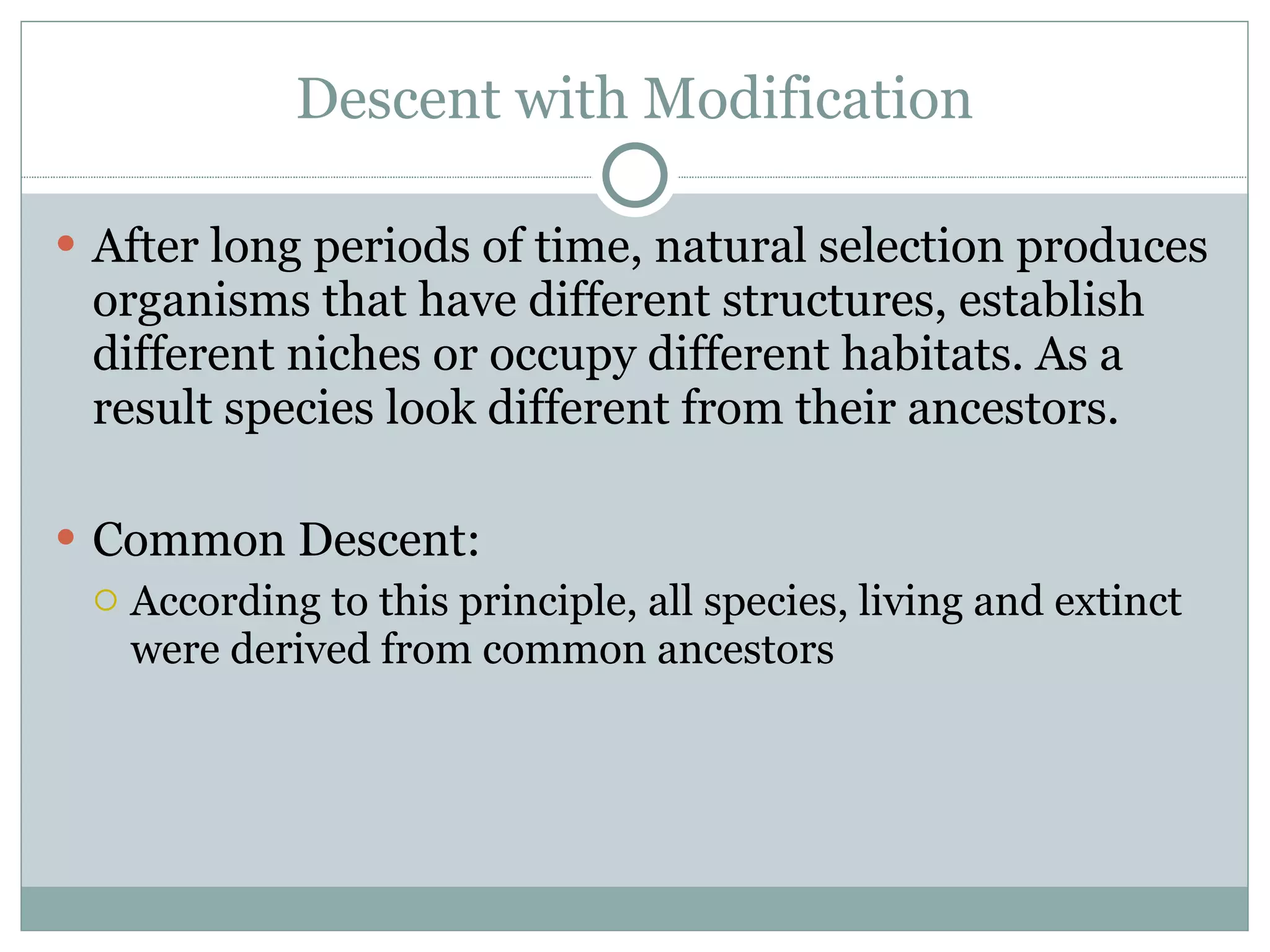 Descent with Modification After long periods of time, natural selection produces organisms that have different structures, establish different niches or occupy different habitats. As a result species look different from their ancestors.  Common Descent: According to this principle, all species, living and extinct were derived from common ancestors 