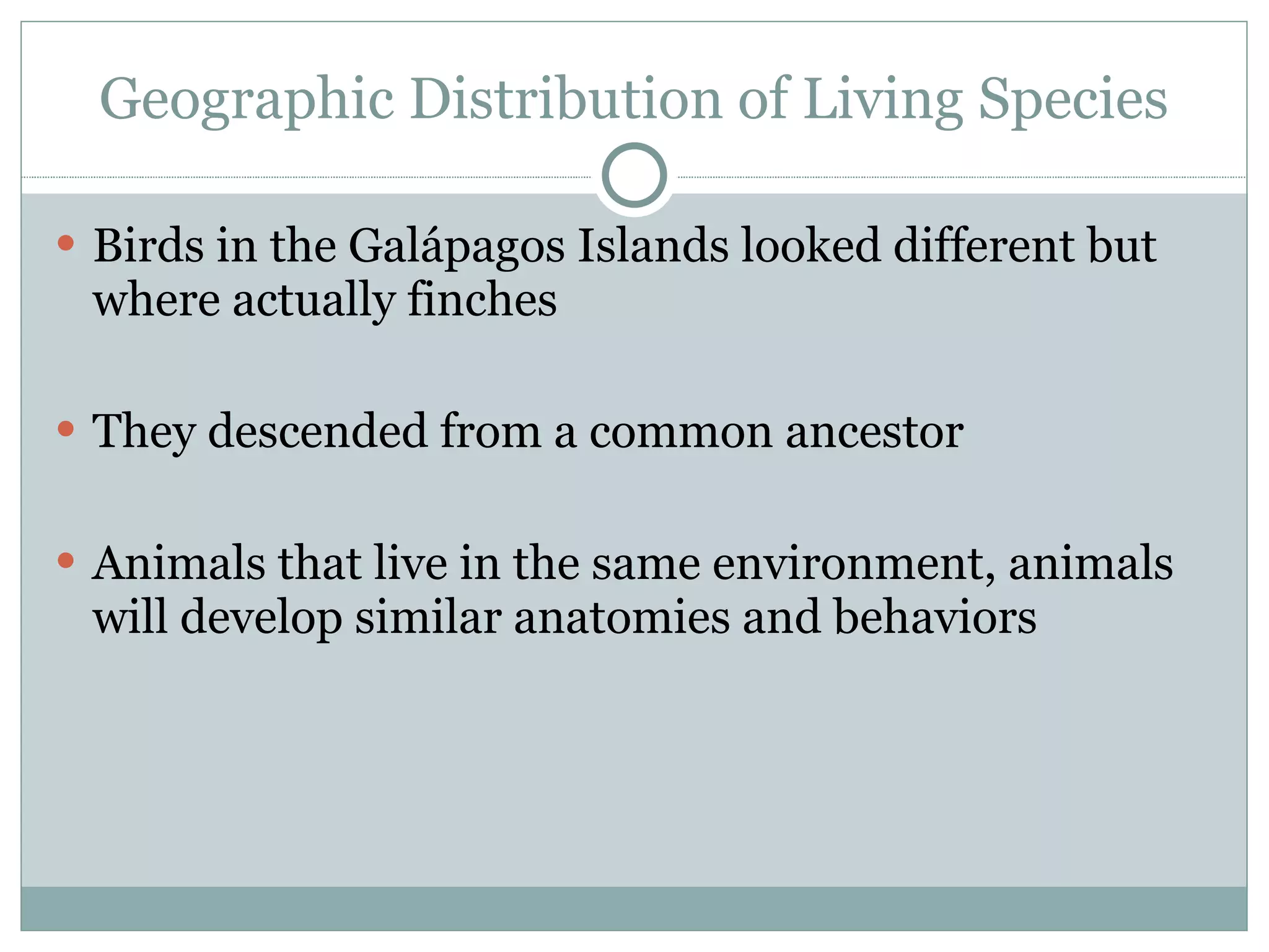 Geographic Distribution of Living Species Birds in the Galápagos Islands looked different but where actually finches They descended from a common ancestor Animals that live in the same environment, animals will develop similar anatomies and behaviors 