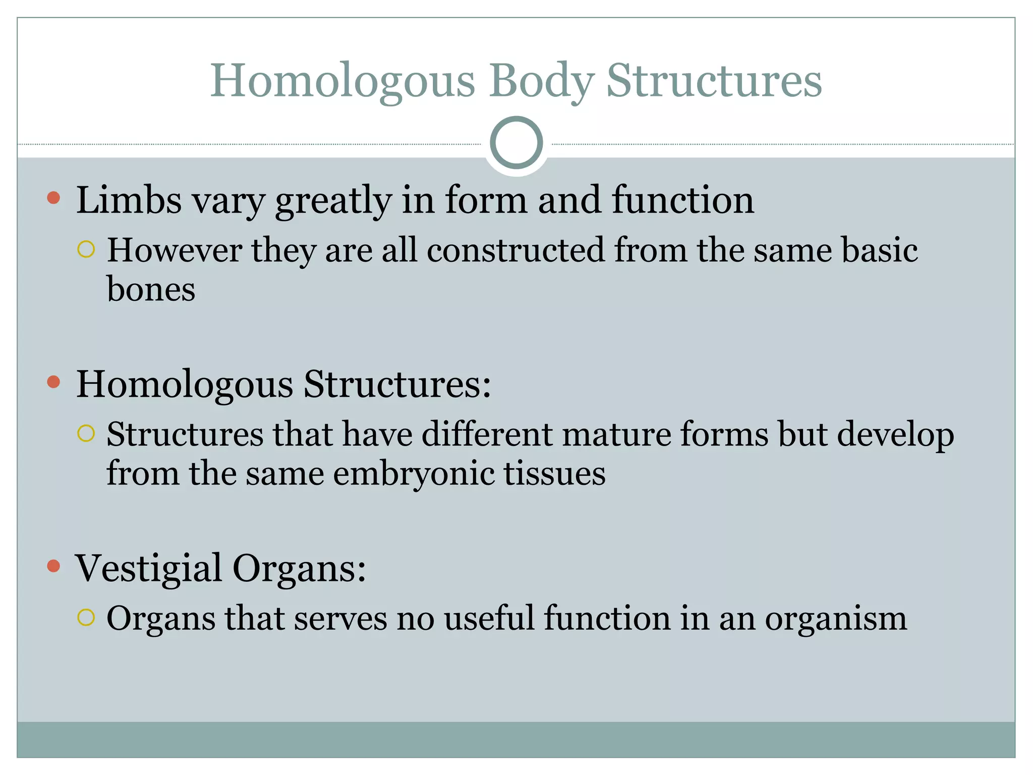 Homologous Body Structures Limbs vary greatly in form and function However they are all constructed from the same basic bones Homologous Structures: Structures that have different mature forms but develop from the same embryonic tissues Vestigial Organs: Organs that serves no useful function in an organism 