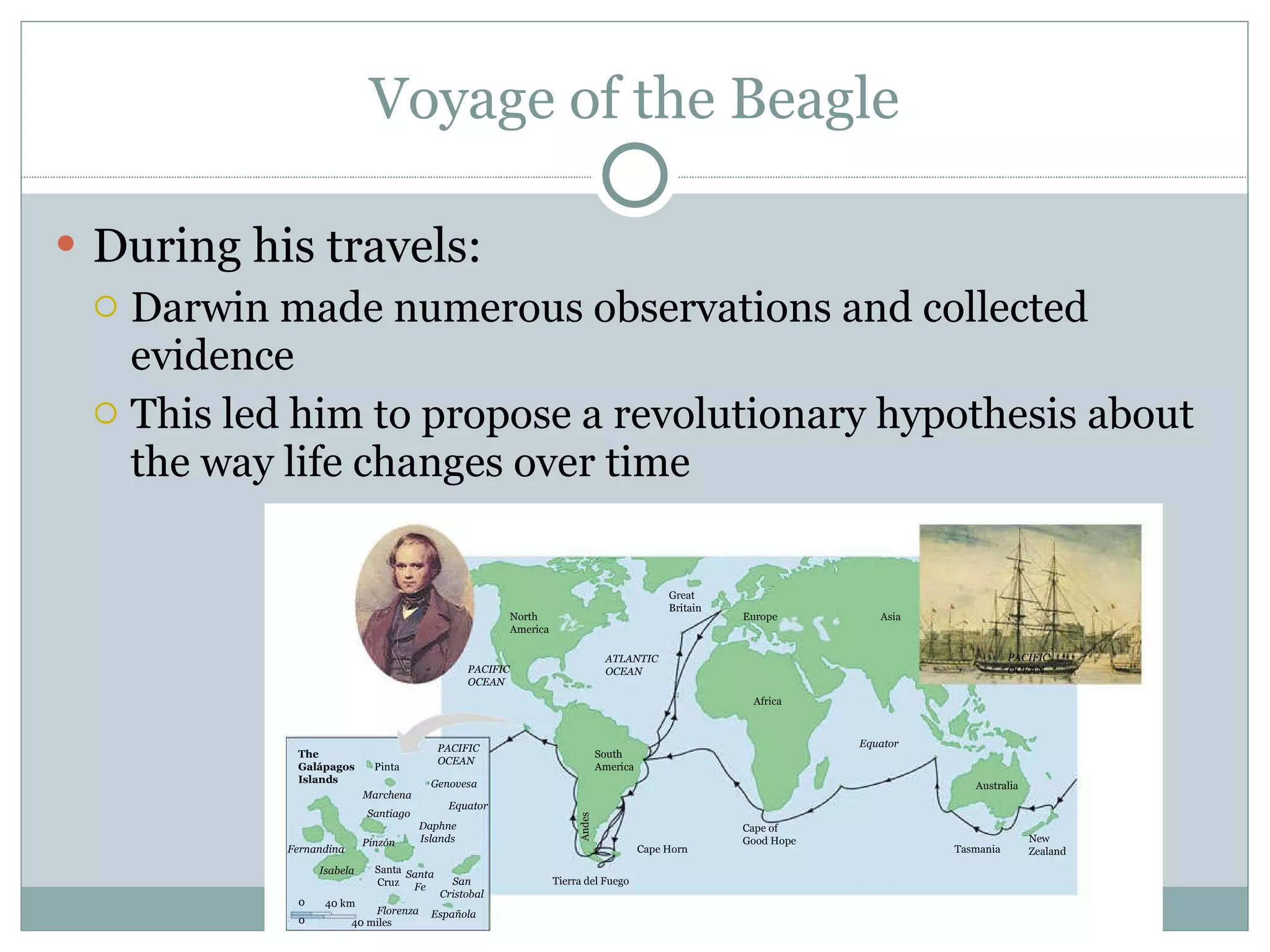 Voyage of the Beagle During his travels: Darwin made numerous observations and collected evidence  This led him to propose a revolutionary hypothesis about the way life changes over time North America Europe Great Britain Africa Equator Asia Australia Tasmania New Zealand PACIFIC OCEAN ATLANTIC OCEAN PACIFIC OCEAN PACIFIC OCEAN The Galápagos Islands South America Tierra del Fuego Cape Horn Cape of Good Hope Andes Pinta Marchena Genovesa Equator Santiago Isabela Fernandina Florenza Española San Cristobal Santa Cruz Santa Fe Pinzón Daphne Islands 40 miles 40 km 0  0  