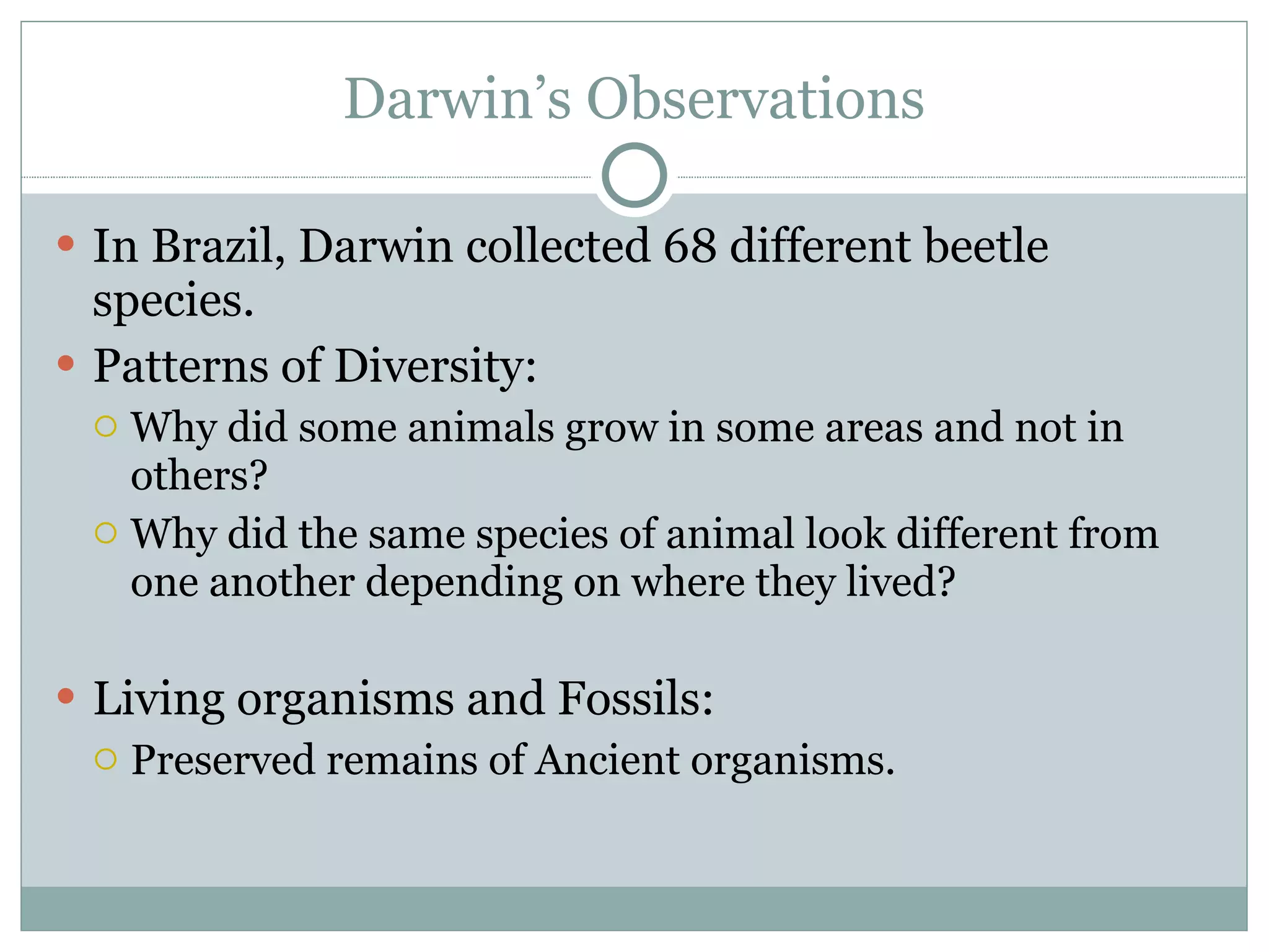 Darwin’s Observations In Brazil, Darwin collected 68 different beetle species.  Patterns of Diversity: Why did some animals grow in some areas and not in others? Why did the same species of animal look different from one another depending on where they lived? Living organisms and Fossils: Preserved remains of Ancient organisms.  