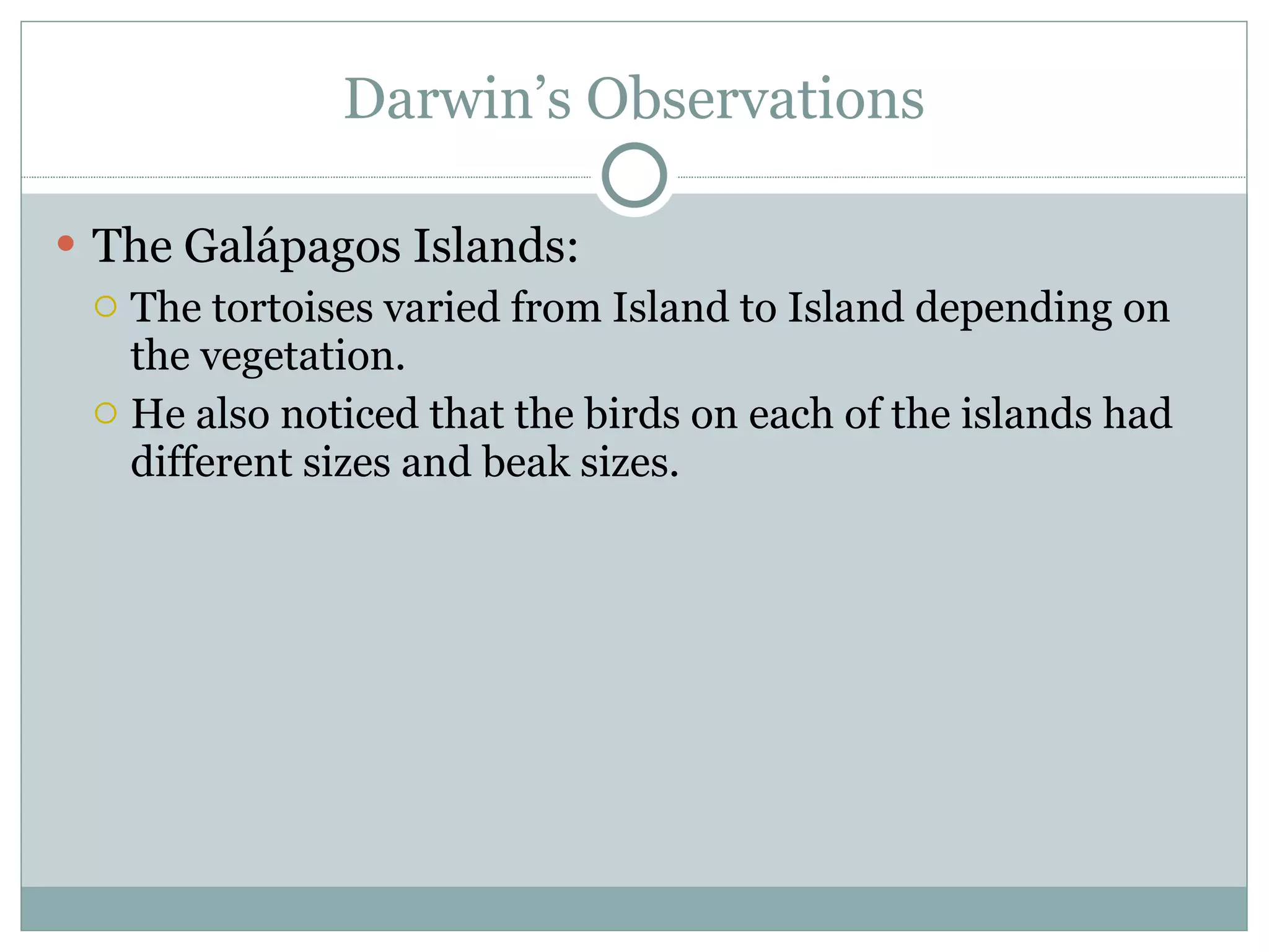 Darwin’s Observations The Galápagos Islands: The tortoises varied from Island to Island depending on the vegetation. He also noticed that the birds on each of the islands had different sizes and beak sizes.  