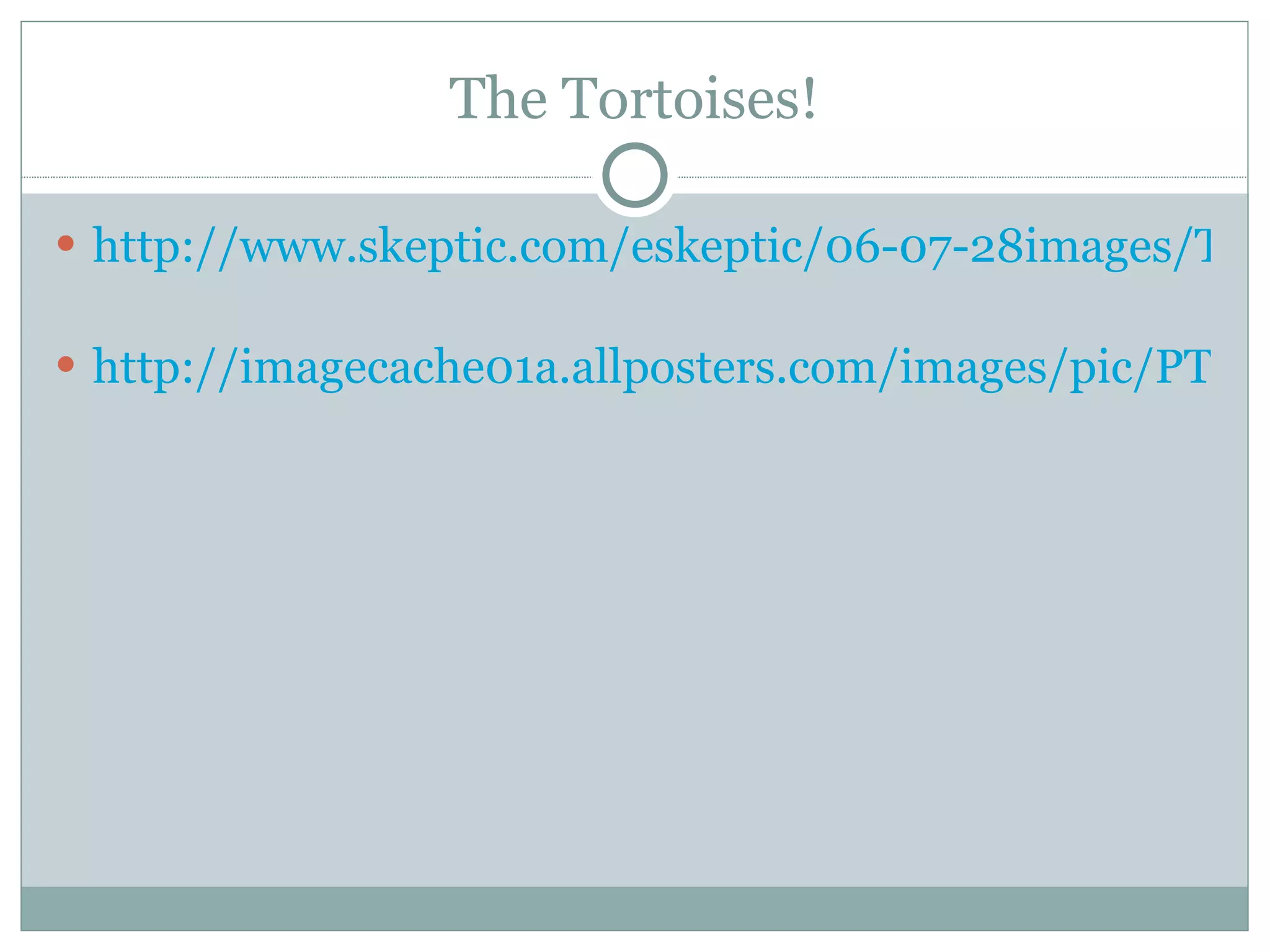 The Tortoises! http://www.skeptic.com/eskeptic/06-07-28images/TortoiseonPinzon.jpg http://imagecache01a.allposters.com/images/pic/PTGPOD/OSJOM-00000498-001-FB~Espanola-Saddleback-Tortoise-Adult-Female-Galapagos-Posters.jpg 
