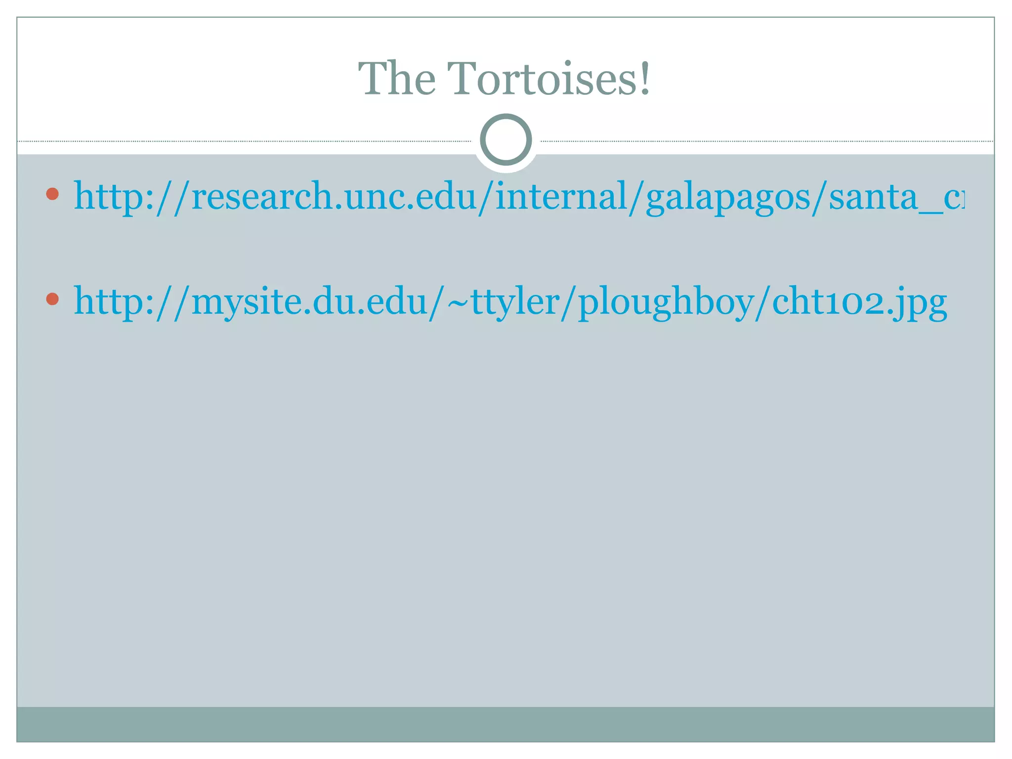 The Tortoises! http://research.unc.edu/internal/galapagos/santa_cruz/turtles_feeding.jpg http://mysite.du.edu/~ttyler/ploughboy/cht102.jpg 