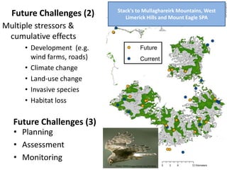 Stack's to Mullaghareirk Mountains, West
  Future Challenges (2)          Limerick Hills and Mount Eagle SPA
Multiple stressors &
 cumulative effects
      • Development (e.g.
        wind farms, roads)
      • Climate change
      • Land-use change
      • Invasive species
      • Habitat loss

  Future Challenges (3)
   • Planning
   • Assessment
   • Monitoring
                             Photo: RSPB Images/Andy Hay/PA Wire
 