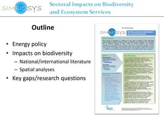 Outline

• Energy policy
• Impacts on biodiversity
   – National/international literature
   – Spatial analyses
• Key gaps/research questions
 