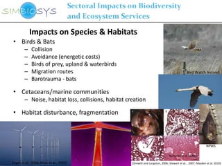 Impacts on Species & Habitats
 • Birds & Bats
        –    Collision
        –    Avoidance (energetic costs)
        –    Birds of prey, upland & waterbirds
        –    Migration routes                                                                   Bird Watch Ireland
        –    Barotrauma - bats

 • Cetaceans/marine communities
        – Noise, habitat loss, collisions, habitat creation

 • Habitat disturbance, fragmentation



                                                                                                                NPWS

                                                                                  Baerwald et al. (2008)

(Inger et al., 2009; Maar et al., 2009)              (Drewitt and Langston, 2006; Stewart et al. , 2007; Masden et al. 2010)
 