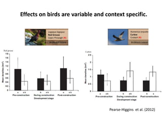 Effects on birds are variable and context specific.



           BirdWatch Ireland                    BirdWatch Ireland




                                   Pearse-Higgins et al. (2012)
 