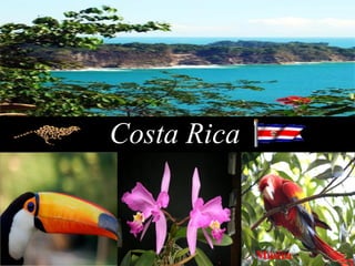 Costa Rica   Música 