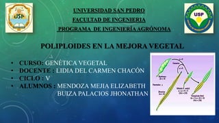 POLIPLOIDES EN LA MEJORA VEGETAL
UNIVERSIDAD SAN PEDRO
FACULTAD DE INGENIERIA
PROGRAMA DE INGENIERÍA AGRÓNOMA
• CURSO: GENÉTICA VEGETAL
• DOCENTE : LIDIA DEL CARMEN CHACÓN
• CICLO : V
• ALUMNOS : MENDOZA MEJIA ELIZABETH
BUIZA PALACIOS JHONATHAN
 