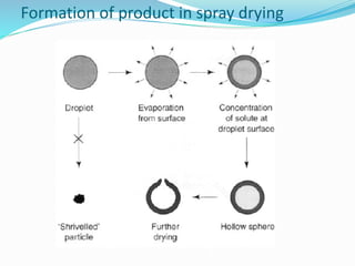 Formation of product in spray drying
 