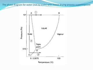 The phase diagram for water (not to scale) with freeze drying process superimposed
 