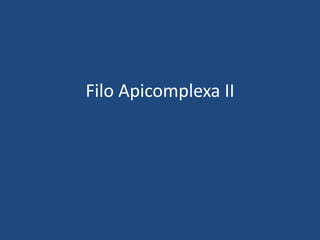 Filo Apicomplexa II
 