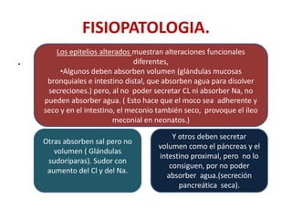 FISIOPATOLOGIA.
        Los epitelios alterados muestran alteraciones funcionales
.                                diferentes,
         •Algunos deben absorben volumen (glándulas mucosas
     bronquiales e intestino distal, que absorben agua para disolver
     secreciones.) pero, al no poder secretar CL ni absorber Na, no
    pueden absorber agua. ( Esto hace que el moco sea adherente y
    seco y en el intestino, el meconio también seco, provoque el íleo
                          meconial en neonatos.)

                                          Y otros deben secretar
    Otras absorben sal pero no
                                      volumen como el páncreas y el
       volumen ( Glándulas
                                      intestino proximal, pero no lo
     sudoríparas). Sudor con
                                         consiguen, por no poder
     aumento del Cl y del Na.
                                        absorber agua.(secreción
                                            pancreática seca).
 