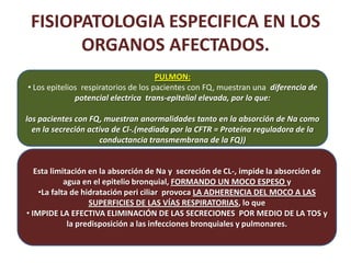 FISIOPATOLOGIA ESPECIFICA EN LOS
           ORGANOS AFECTADOS.
.                                         PULMON:
    • Los epitelios respiratorios de los pacientes con FQ, muestran una diferencia de
                  potencial electrica trans-epitelial elevada, por lo que:

    los pacientes con FQ, muestran anormalidades tanto en la absorción de Na como
      en la secreción activa de Cl-.(mediada por la CFTR = Proteína reguladora de la
                         conductancia transmembrana de la FQ))


       Esta limitación en la absorción de Na y secreción de CL-, impide la absorción de
                agua en el epitelio bronquial, FORMANDO UN MOCO ESPESO y
        •La falta de hidratación peri ciliar provoca LA ADHERENCIA DEL MOCO A LAS
                       SUPERFICIES DE LAS VÍAS RESPIRATORIAS, lo que
    • IMPIDE LA EFECTIVA ELIMINACIÓN DE LAS SECRECIONES POR MEDIO DE LA TOS y
                 la predisposición a las infecciones bronquiales y pulmonares.
 