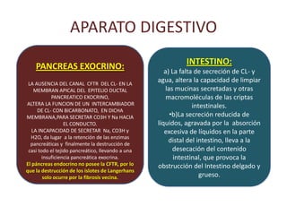 APARATO DIGESTIVO
.                                                                INTESTINO:
        PANCREAS EXOCRINO:                                a) La falta de secreción de CL- y
     LA AUSENCIA DEL CANAL CFTR DEL CL- EN LA
                                                       agua, altera la capacidad de limpiar
        MEMBRAN APICAL DEL EPITELIO DUCTAL                las mucinas secretadas y otras
                PANCREATICO EXOCRINO,                      macromoléculas de las criptas
    ALTERA LA FUNCION DE UN INTERCAMBIADOR                           intestinales.
         DE CL- CON BICARBONATO, EN DICHA
    MEMBRANA,PARA SECRETAR CO3H Y Na HACIA                  •b)La secreción reducida de
                      EL CONDUCTO.                     líquidos, agravada por la absorción
       LA INCAPACIDAD DE SECRETAR Na, CO3H y              excesiva de líquidos en la parte
      H2O, da lugar a la retención de las enzimas
      pancreáticas y finalmente la destrucción de
                                                            distal del intestino, lleva a la
     casi todo el tejido pancreático, llevando a una         desecación del contenido
            insuficiencia pancreática exocrina.               intestinal, que provoca la
    El páncreas endocrino no posee la CFTR, por lo     obstrucción del Intestino delgado y
    que la destrucción de los islotes de Langerhans
            solo ocurre por la fibrosis vecina.                         grueso.
 