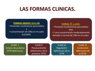 LAS FORMAS CLINICAS.
.
         FORMAS GRAVES: (I,II y III)                    FORMA IV o LEVE:
    • Presentan insuficiencia pancreática       • Presenta insuficiencias pancreática
                      y                                          leve
    • Concentración de ClNa en el sudor       • Y una concentración moderadamente
                  ELEVADA.                     elevada o normal de ClNa en el sudor.



      CLASE I:                CLASE II             CLASE III            CLASE IV
Síntesis de proteína       Procesamiento         Regulación            Conducción
 CFTR defectuosa.         defectuoso, de la    defectuosa de la       defectuosa de
                           proteína. CFTR           CFTR                 la CFTR.
 