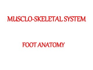 MUSCLO-SKELETAL SYSTEM
FOOT ANATOMY
 