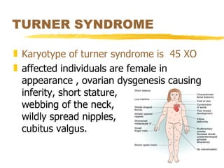 15 Genetic Diseases | PPT