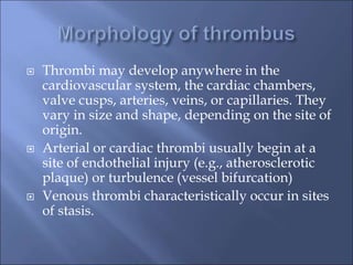  Thrombi may develop anywhere in the
cardiovascular system, the cardiac chambers,
valve cusps, arteries, veins, or capillaries. They
vary in size and shape, depending on the site of
origin.
 Arterial or cardiac thrombi usually begin at a
site of endothelial injury (e.g., atherosclerotic
plaque) or turbulence (vessel bifurcation)
 Venous thrombi characteristically occur in sites
of stasis.
 