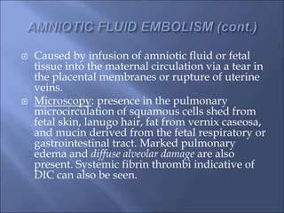  Caused by infusion of amniotic fluid or fetal
tissue into the maternal circulation via a tear in
the placental membranes or rupture of uterine
veins.
 Microscopy: presence in the pulmonary
microcirculation of squamous cells shed from
fetal skin, lanugo hair, fat from vernix caseosa,
and mucin derived from the fetal respiratory or
gastrointestinal tract. Marked pulmonary
edema and diffuse alveolar damage are also
present. Systemic fibrin thrombi indicative of
DIC can also be seen.
 
